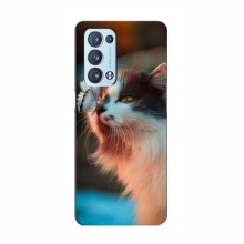 Чехол на OPPO Reno 6 Pro (5G) с Котами (VPrint) Котик с бабочкой - купить на Floy.com.ua