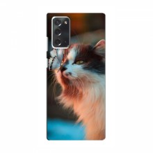 Чехол на Samsung Galaxy Note 20 с Котами (VPrint) Котик с бабочкой - купить на Floy.com.ua
