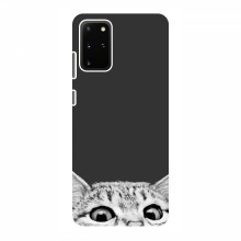 Чехол на Samsung Galaxy S20 с Котами (VPrint) Выглядывает кот снизу - купить на Floy.com.ua