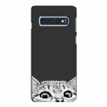 Чехол на Samsung S10e с Котами (VPrint) Выглядывает кот снизу - купить на Floy.com.ua