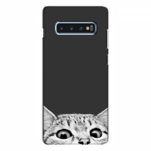Чехол на Samsung S10 Plus с Котами (VPrint) Выглядывает кот снизу - купить на Floy.com.ua