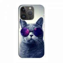 Чехол с принтом для iPhone 14 Pro Max - (на черном) (AlphaPrint) Кот в очках - купить на Floy.com.ua