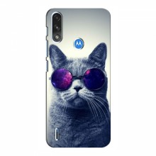 Чехол с принтом для Motorola MOTO E7i - (на черном) (AlphaPrint) Кот в очках - купить на Floy.com.ua