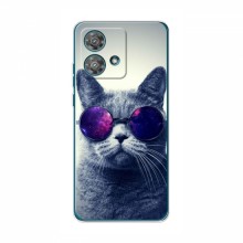 Чехол с принтом для Motorola Edge 40 Neo - (на черном) (AlphaPrint) Кот в очках - купить на Floy.com.ua