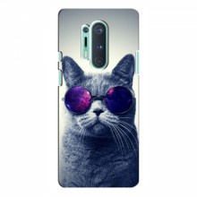 Чехол с принтом для OnePlus 8 Pro - (на черном) (AlphaPrint) Кот в очках - купить на Floy.com.ua