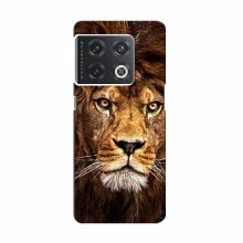 Чехол со Львом для OnePlus 10 Pro (VPrint) Лев - купить на Floy.com.ua