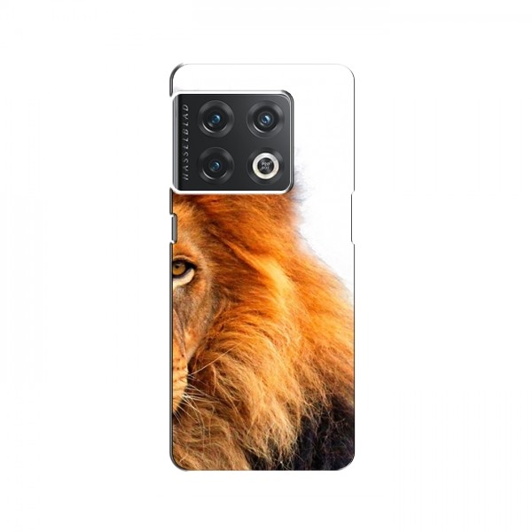 Чехлы с картинками животных OnePlus 10 Pro