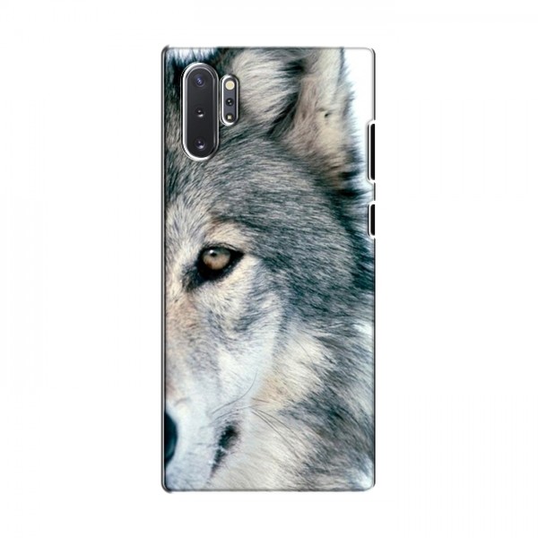 Чехлы с картинками животных Samsung Galaxy Note 10 Plus