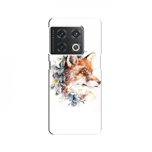 Чехлы с картинкой Лисички для OnePlus 10 Pro (VPrint)