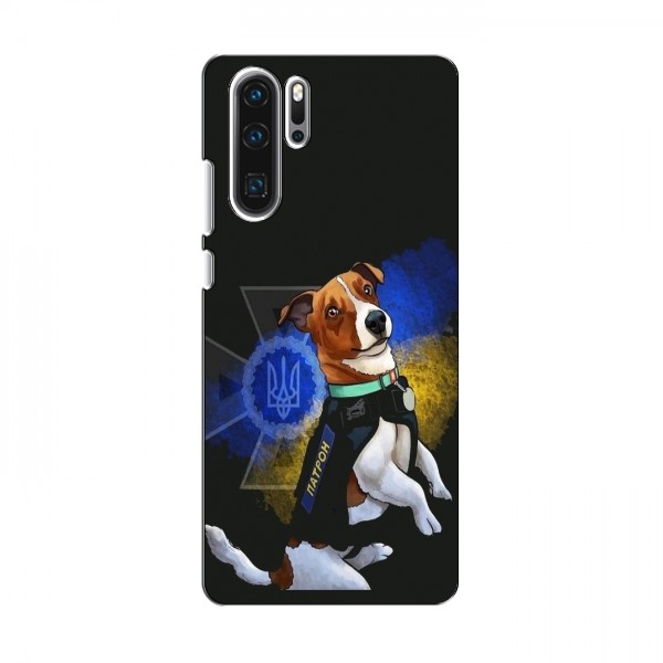 Чехлы с картинкой собаки Патрон для Huawei P30 Pro (AlphaPrint)