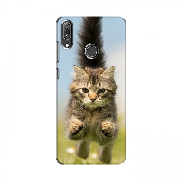 Чехлы с Котиками для Huawei Y7 2019 (VPrint)
