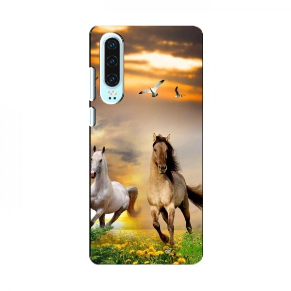 Чехлы с Лошадью для Huawei P30 (VPrint)