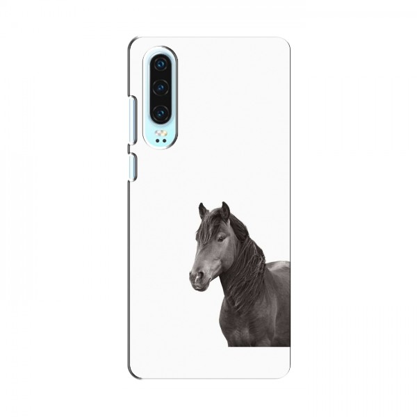 Чехлы с Лошадью для Huawei P30 (VPrint)