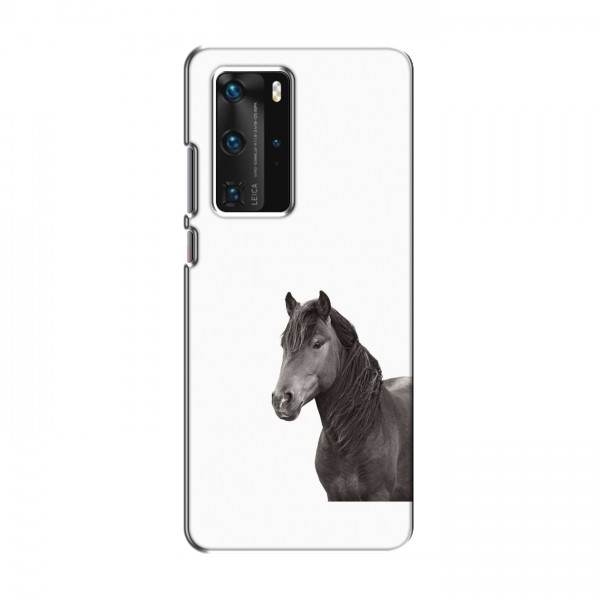 Чехлы с Лошадью для Huawei P40 Pro (VPrint)