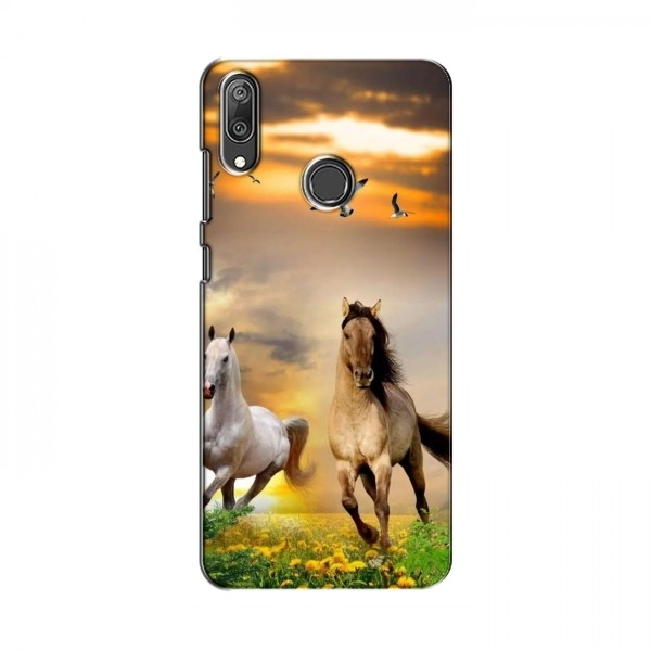 Чехлы с Лошадью для Huawei Y7 2019 (VPrint)