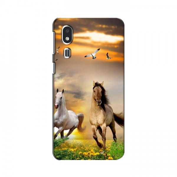 Чехлы с Лошадью для Samsung Galaxy A2 Core (VPrint)