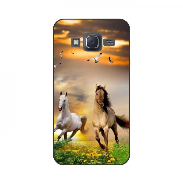 Чехлы с Лошадью для Samsung J5, J500, J500H (VPrint)
