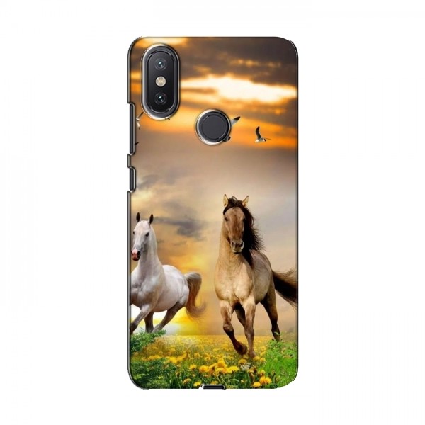 Чехлы с Лошадью для Xiaomi Mi A2 Lite (VPrint)