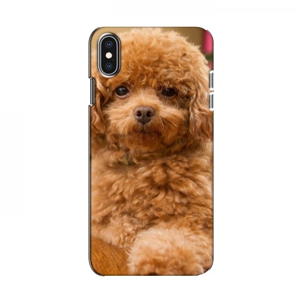Чехлы с собаками для iPhone Xs (VPrint)