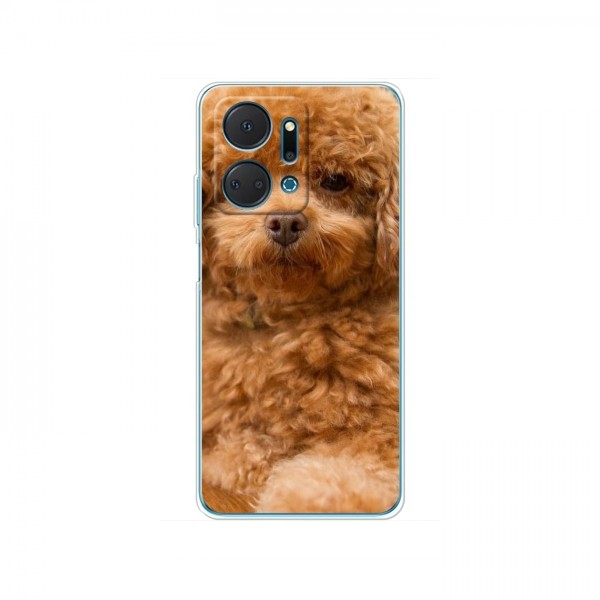 Чехлы с собаками для Huawei Honor X7a (VPrint)