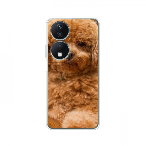 Чехлы с собаками для Huawei Honor X7b (VPrint)