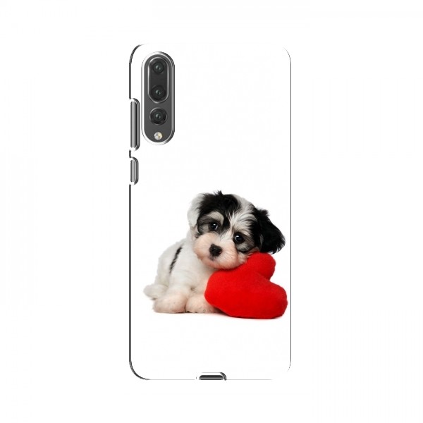 Чехлы с собаками для Huawei P20 Pro (VPrint)