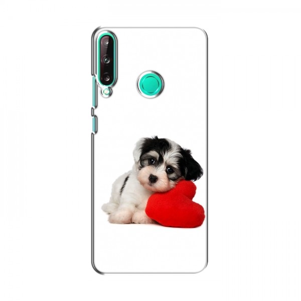 Чехлы с собаками для Huawei P40 Lite e (VPrint)