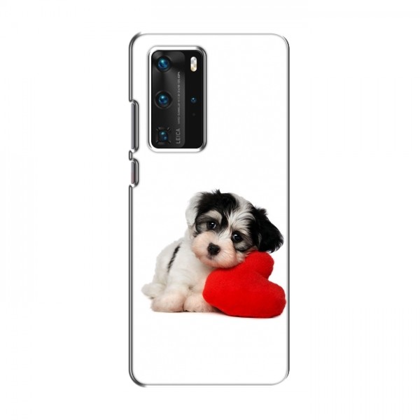 Чехлы с собаками для Huawei P40 Pro (VPrint)
