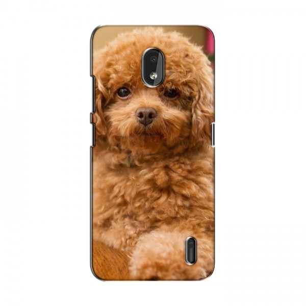 Чехлы с собаками для Nokia 2.2 (2019) (VPrint)