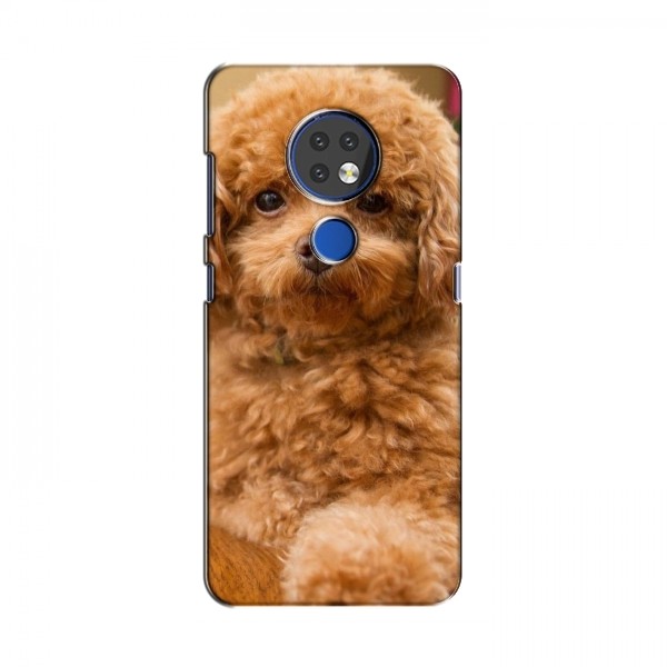 Чехлы с собаками для Nokia 6.2 (2019) (VPrint)
