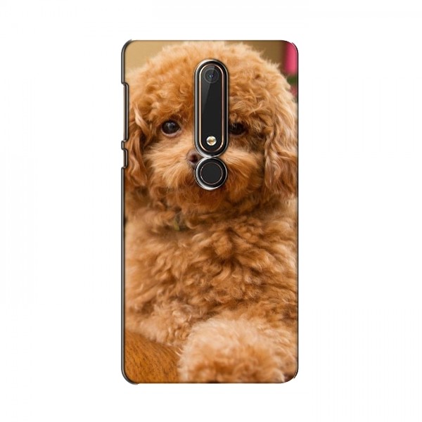 Чехлы с собаками для Nokia 6 2018 (VPrint)