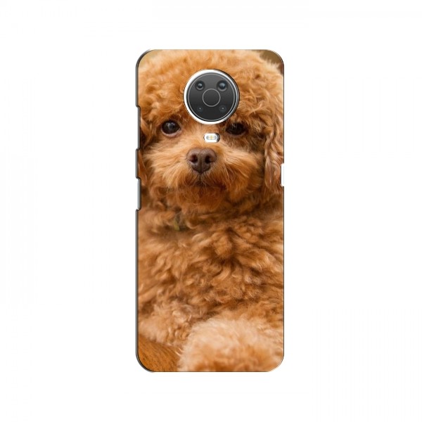 Чехлы с собаками для Nokia G10 (VPrint)