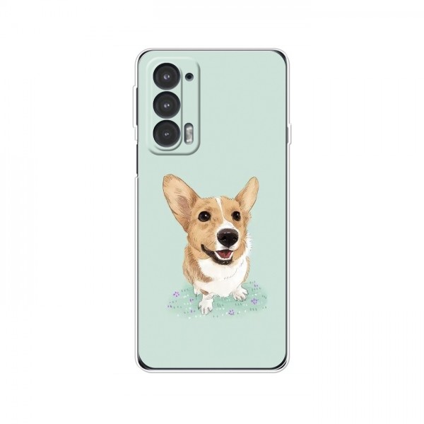Чехлы с собаками для Motorola Edge 20 (VPrint)