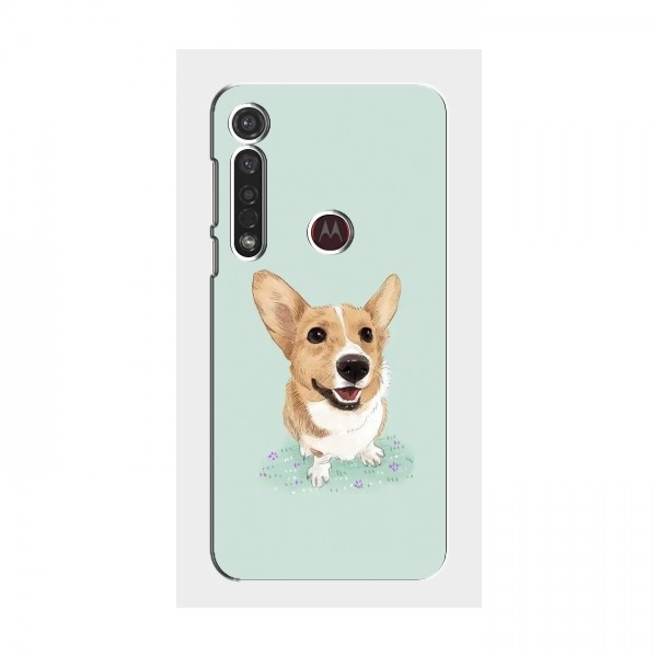 Чехлы с собаками для Motorola MOTO G8 Plus (VPrint)
