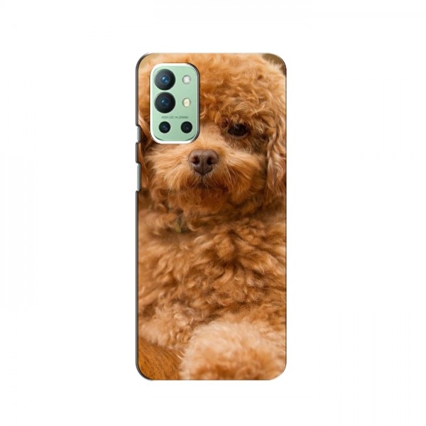 Чехлы с собаками для OnePlus 9R (VPrint)