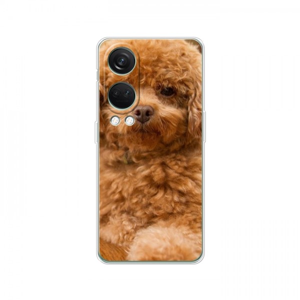 Чехлы с собаками для OnePlus Nord 4 (VPrint)