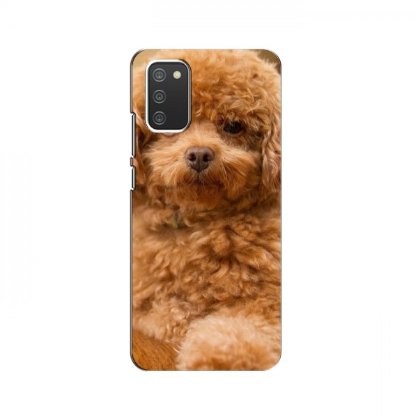 Чехлы с собаками для Samsung Galaxy A02s (VPrint)