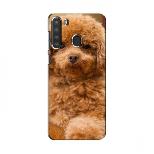 Чехлы с собаками для Samsung Galaxy A21 (A215) (VPrint)