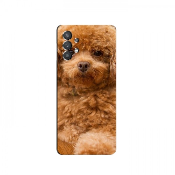 Чехлы с собаками для Samsung Galaxy A32 (VPrint)