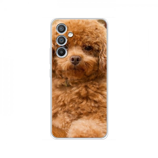 Чехлы с собаками для Samsung Galaxy A55 (5G) (VPrint)