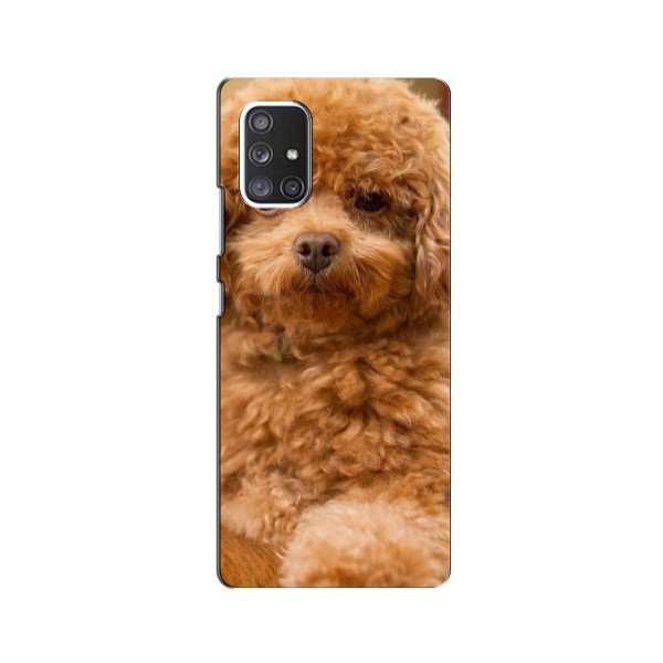 Чехлы с собаками для Samsung Galaxy A72 (VPrint)