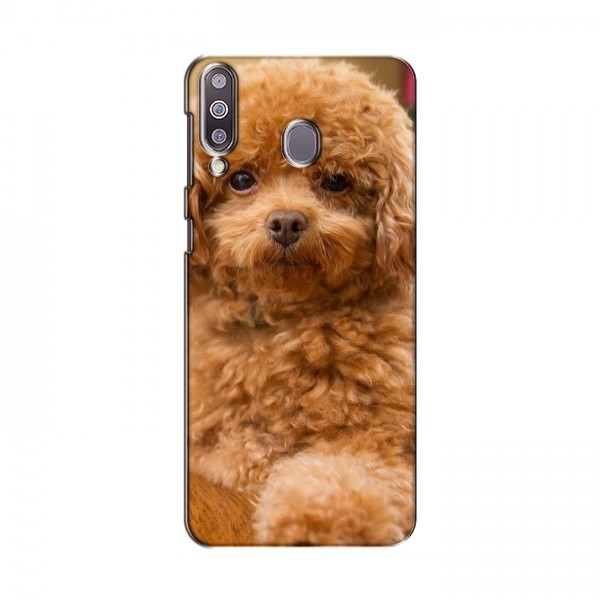 Чехлы с собаками для Samsung Galaxy M30 (VPrint)