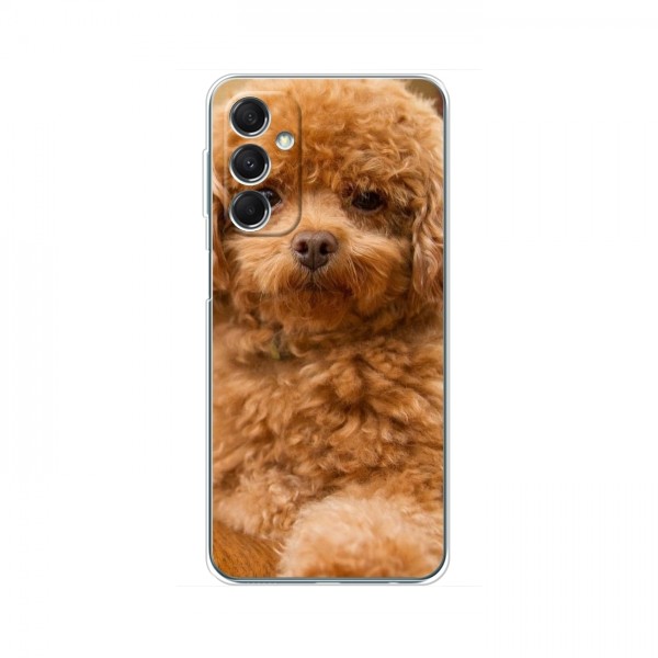 Чехлы с собаками для Samsung Galaxy M34 (5G) (VPrint)