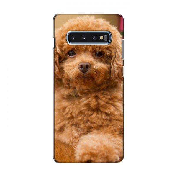 Чехлы с собаками для Samsung S10 Plus (VPrint)