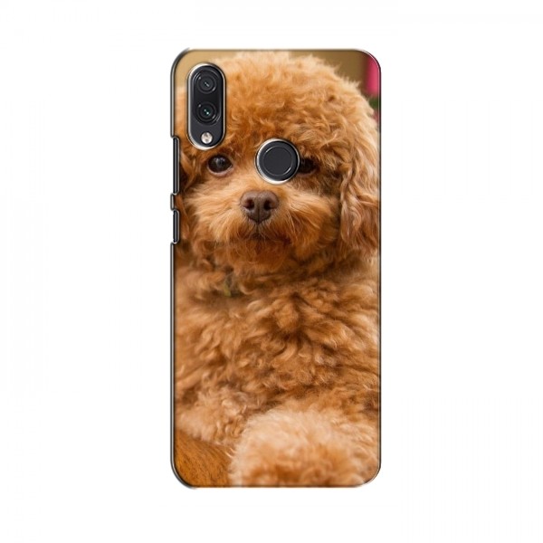 Чехлы с собаками для Samsung Galaxy M10s (VPrint)