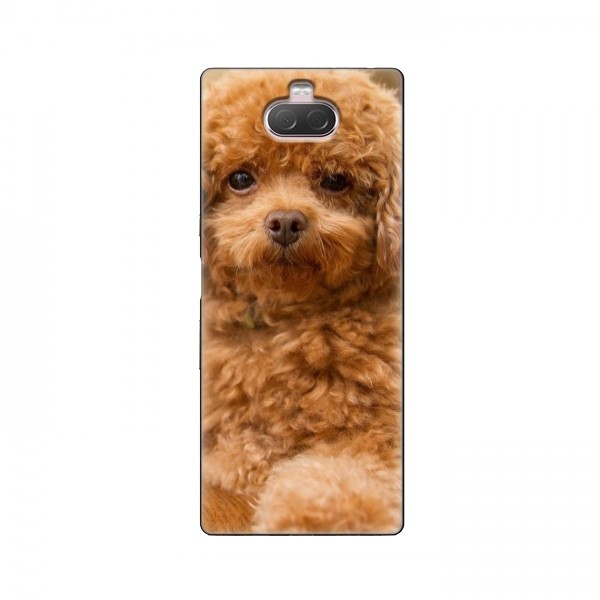 Чехлы с собаками для Sony Xperia 10 (VPrint)