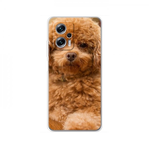 Чехлы с собаками для Xiaomi POCO X4 GT (VPrint)