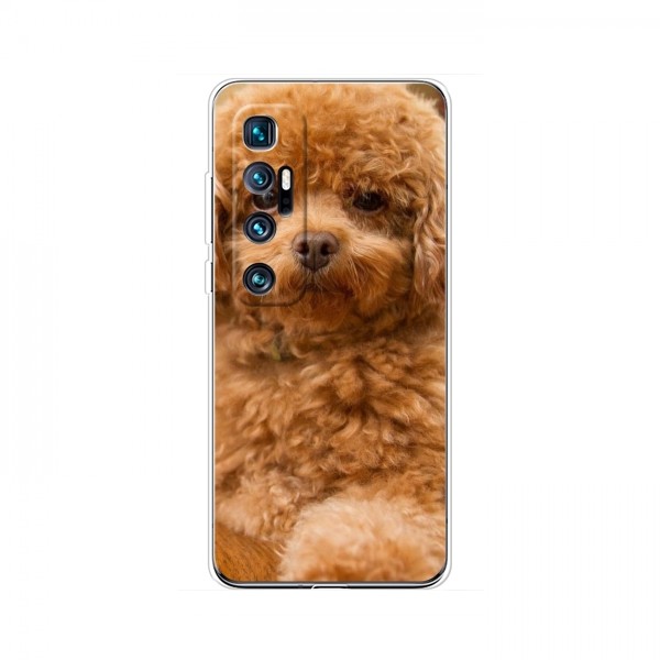 Чехлы с собаками для Xiaomi Mi 10 Ultra (VPrint)