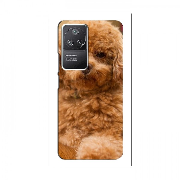 Чехлы с собаками для Xiaomi POCO F4 (5G) (VPrint)