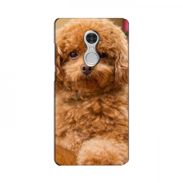 Чехлы с собаками для Xiaomi Redmi 5 (VPrint)